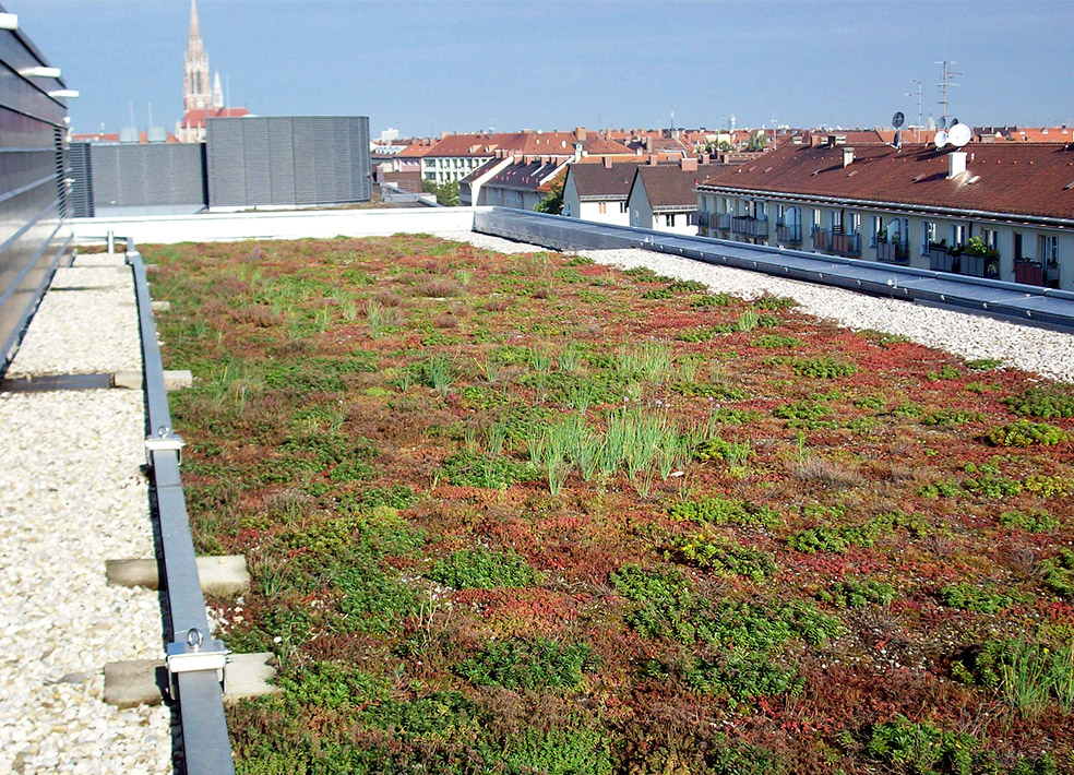 Dachbegrünung gestaltet von Gartengestaltung Wiesenfeld