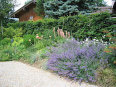 Referenzbild von Gartengestaltung Wiesenfeld