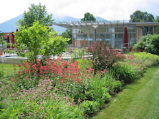 Referenzbild von Gartengestaltung Wiesenfeld