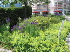 Referenzbild von Gartengestaltung Wiesenfeld