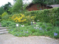 Referenzbild von Gartengestaltung Wiesenfeld