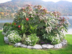 Referenzbild von Gartengestaltung Wiesenfeld