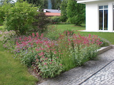 Referenzbild von Gartengestaltung Wiesenfeld