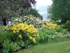 Referenzbild von Gartengestaltung Wiesenfeld