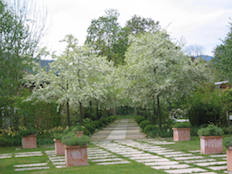 Referenzbild von Gartengestaltung Wiesenfeld