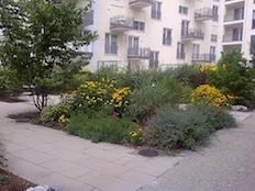 Referenzbild von Gartengestaltung Wiesenfeld